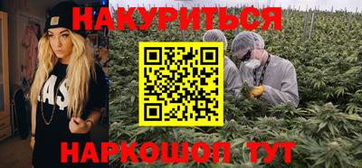 тгк Новозыбков