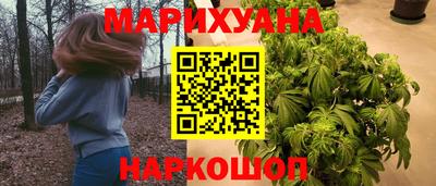 тгк Новозыбков