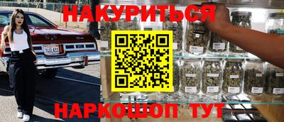 тгк Новозыбков