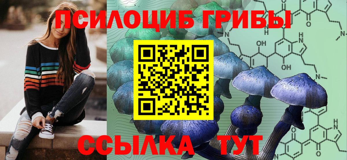 Псилоцибиновые грибы GOLDEN TEACHER  Галлюциногенные грибы мухоморы  Ржев  Вход с VPN 