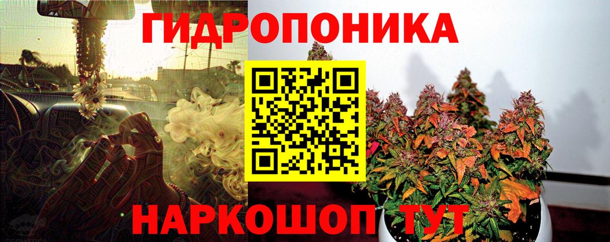 Ржев  МАРИХУАНА гибрид  Вход с VPN  Марихуана LSD WEED  Бошки марихуана марихуана 